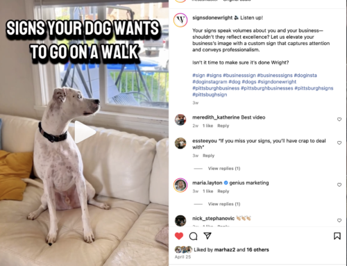 This Weeks Real Reel: Signs that your dog wants to go on a walk